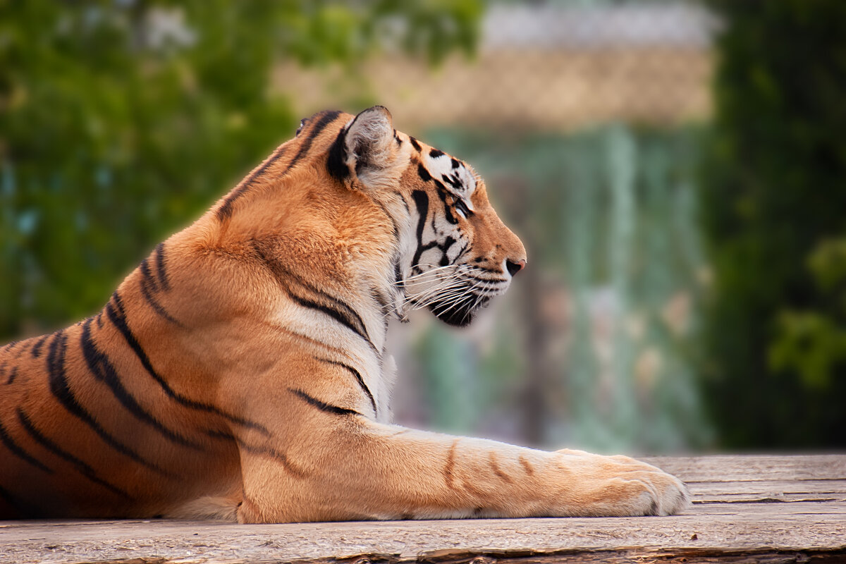 По закону Архимеда после вкусного обеда... - Valziwa По закону Архимеда после вкусного обеда... - Valziwa