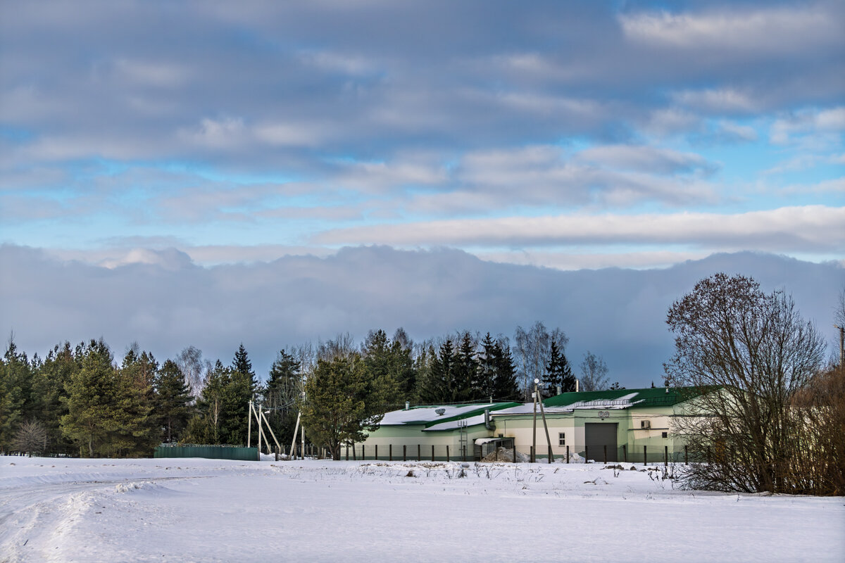 Ничто так не бодрит, как прогулка с фотоаппаратом на лыжах - Игорь Сикорский