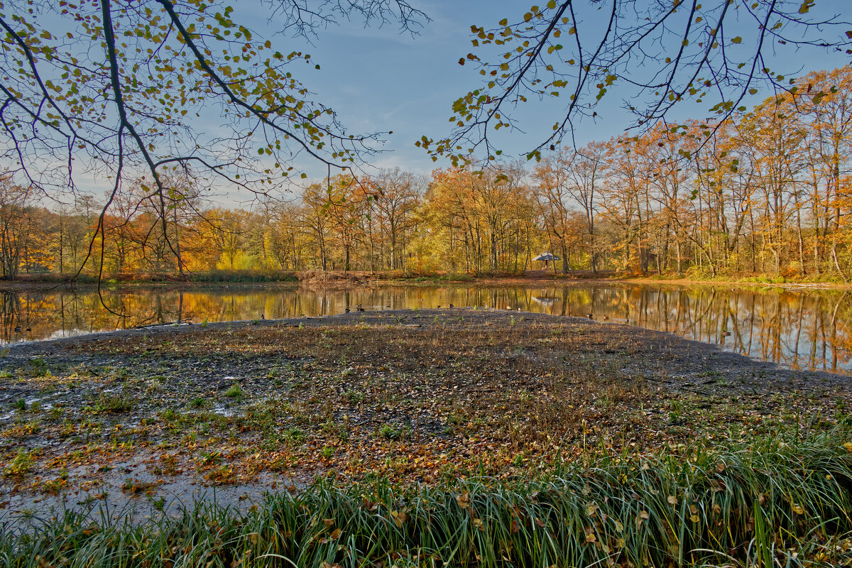 Пруд - Jakob Dick Пруд - Jakob Dick