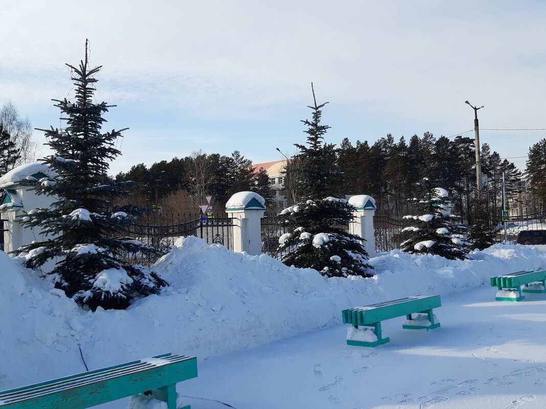 Город зимой - Галина Минчук Город зимой - Галина Минчук