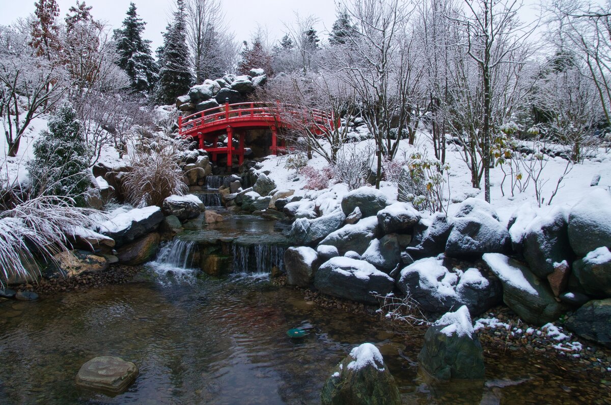Зимние прогулки - Андрей Евтеев Зимние прогулки - Андрей Евтеев