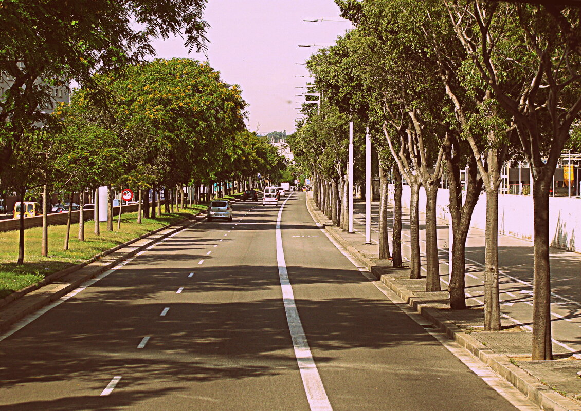 Барселона. - Владимир Драгунский