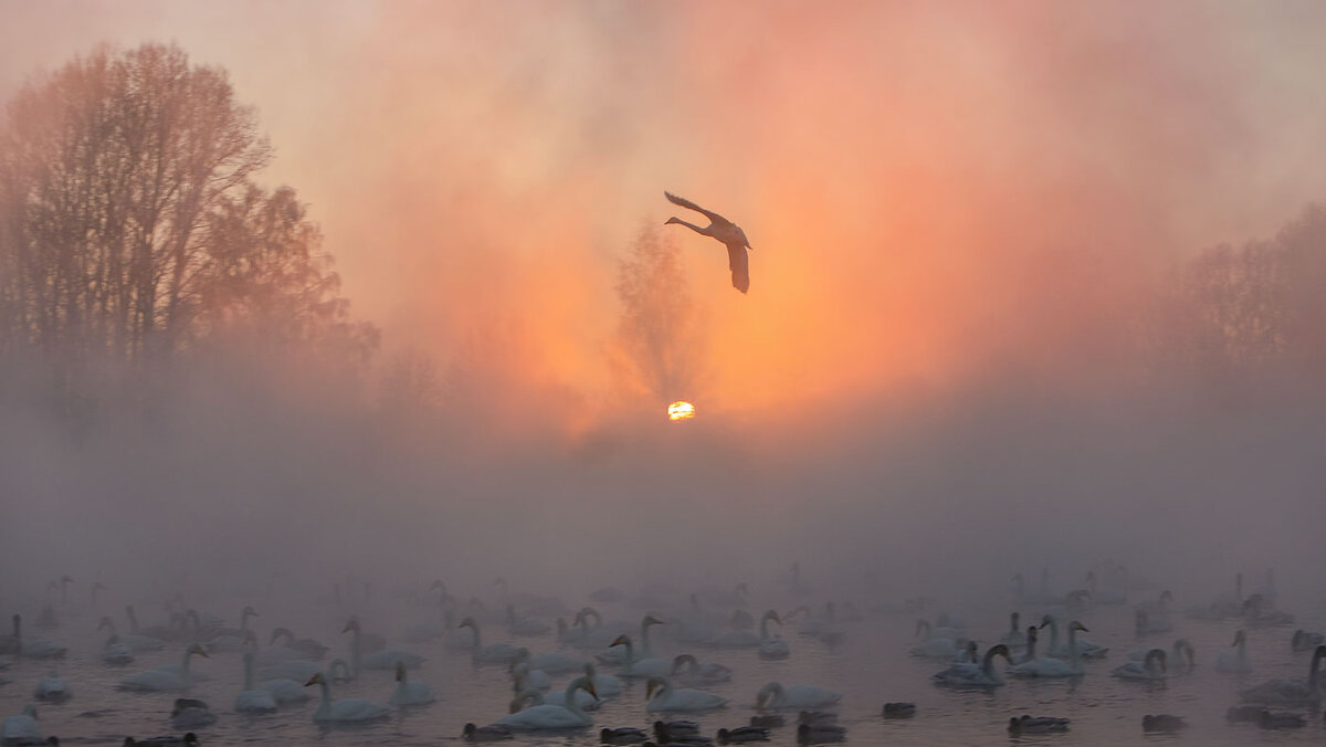На закате...морозно - владимир 