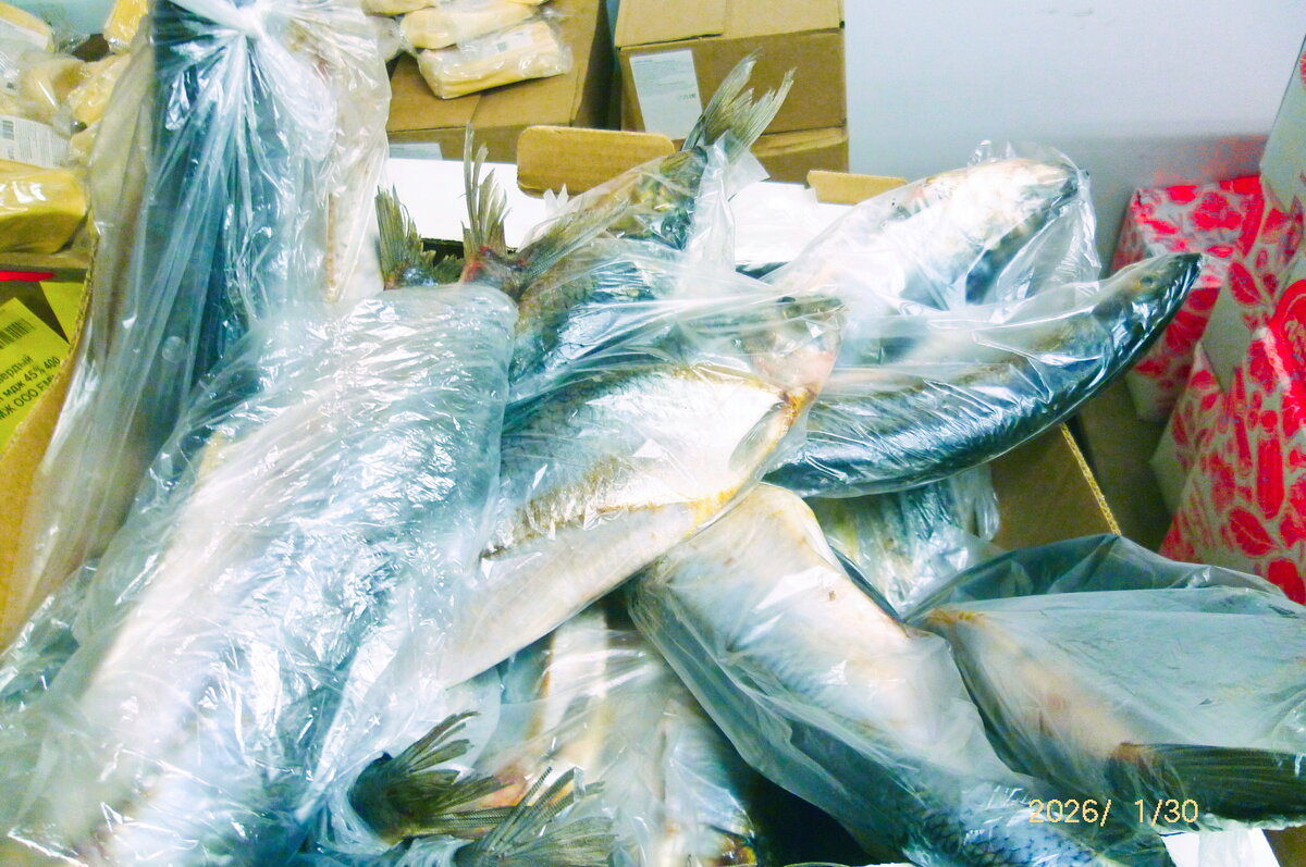 Фотография - Денис Безногов