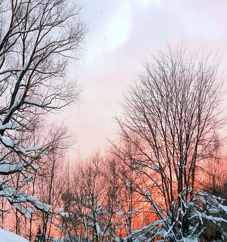 Розовый закат начала февраля - Елена 