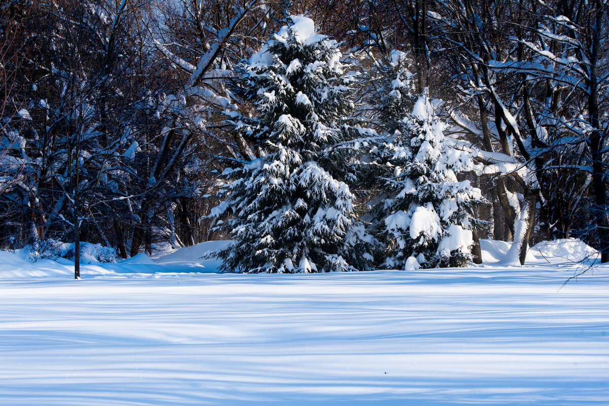*** - Владимир Безбородов