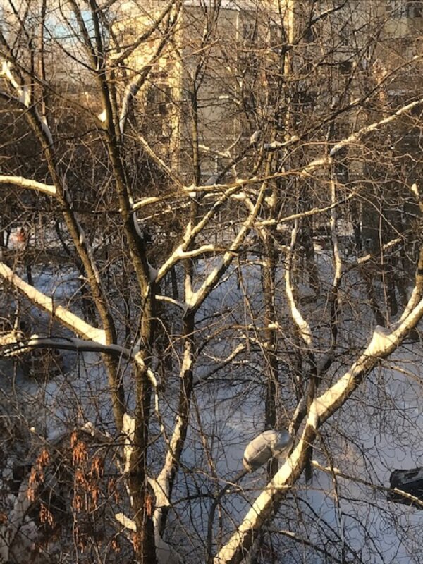 Солнечный денёк! - Татьяна Юрасова