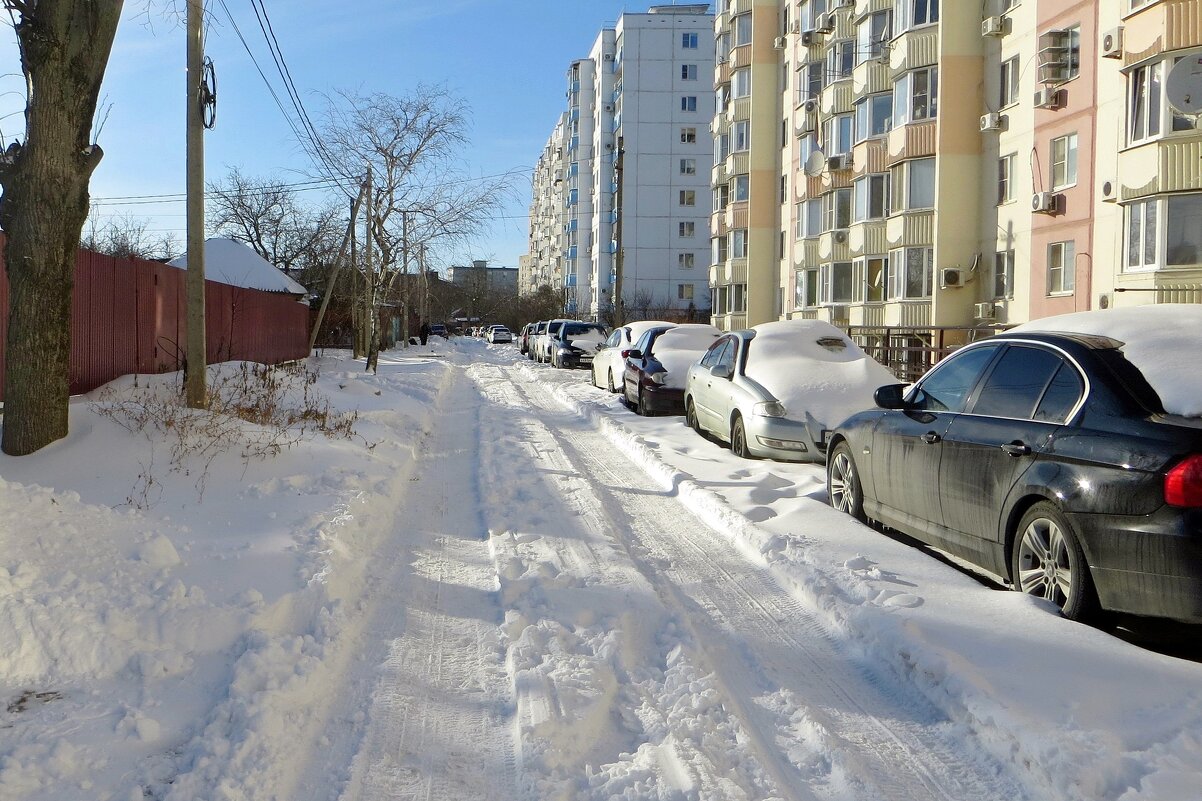 Снежное начало февраля - Татьяна Смоляниченко