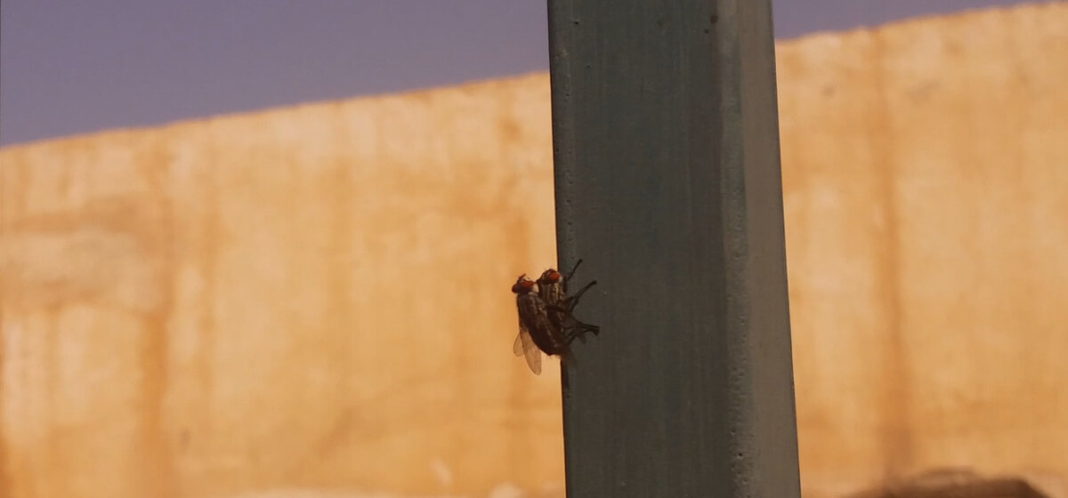 13  ОПЕН (866) - OPEN WAYS ALL