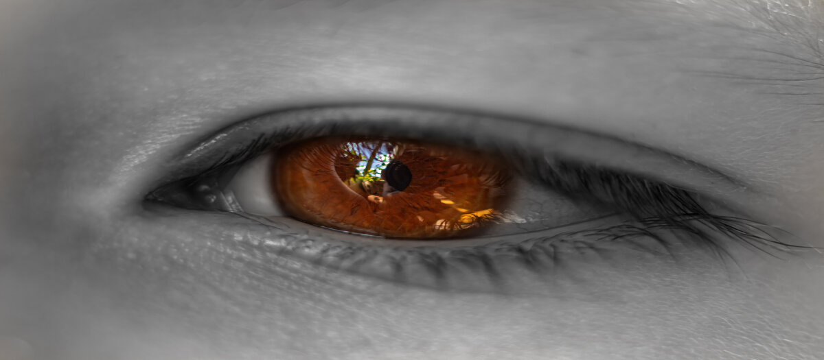 Глаз - Андрей C