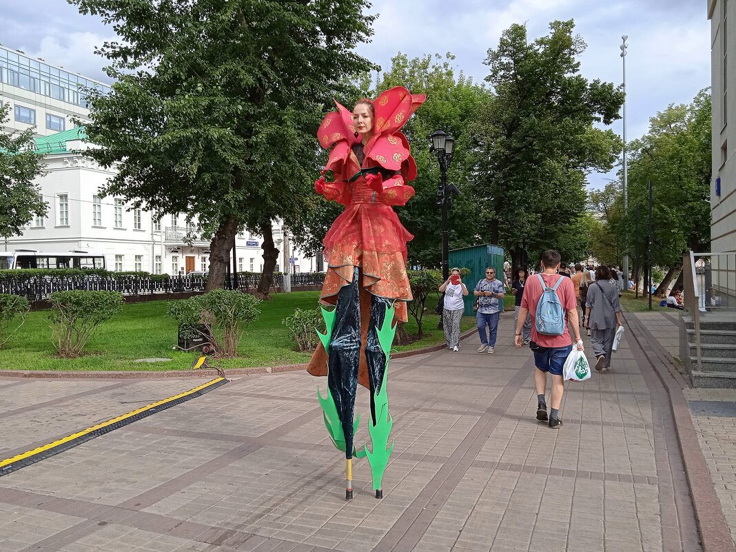 Ну очень длинноногая девушка. - unix (Илья Утропов)