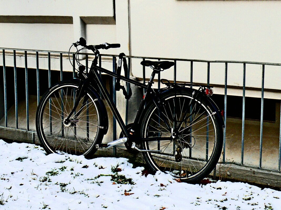 Южная зима - 22 - Алексей Кузнецов