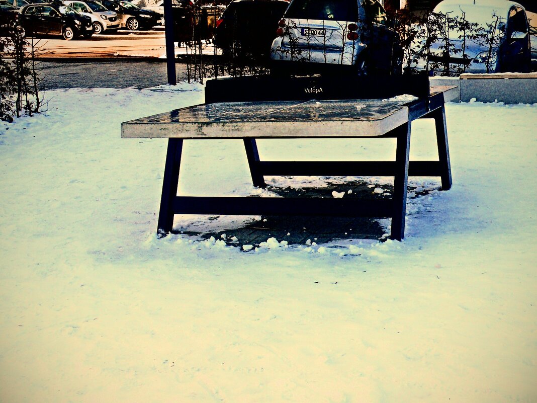 Южная зима - 25 - Алексей Кузнецов