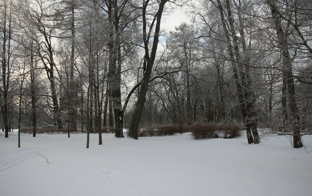 Парк Александрия - Наталья Герасимова Парк Александрия - Наталья Герасимова