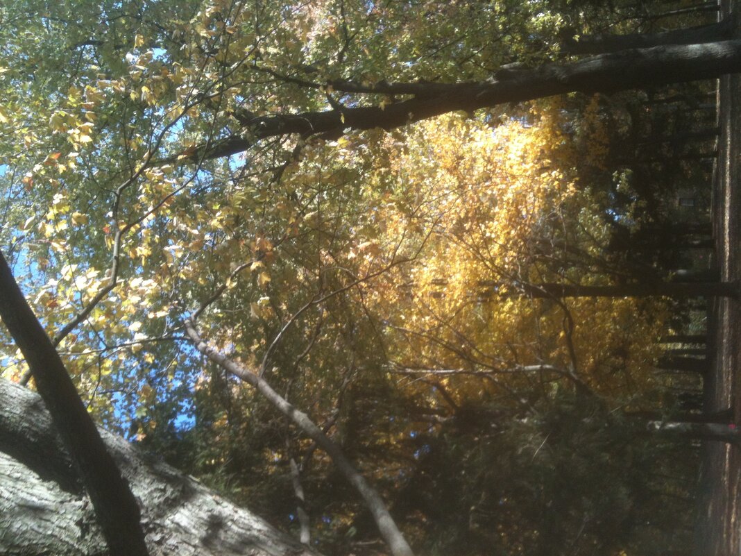 Последний луч... - Валерий Кокорев