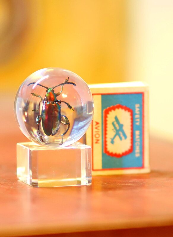 Z - Андрей Л. В.