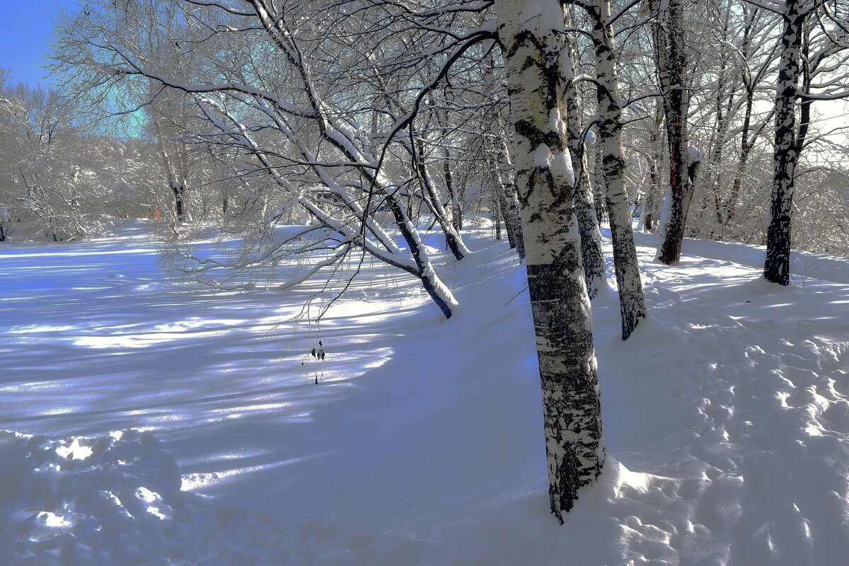 Остыли реки, и земля остыла. - Татьяна Помогалова Остыли реки, и земля остыла. - Татьяна Помогалова
