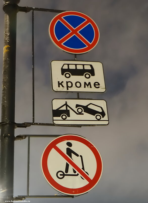 Переполох в курятнике - Игорь Корф