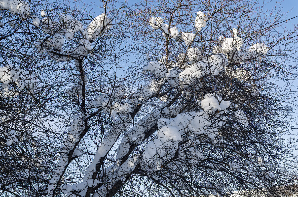 *** - Виктор Иванович Чернюк
