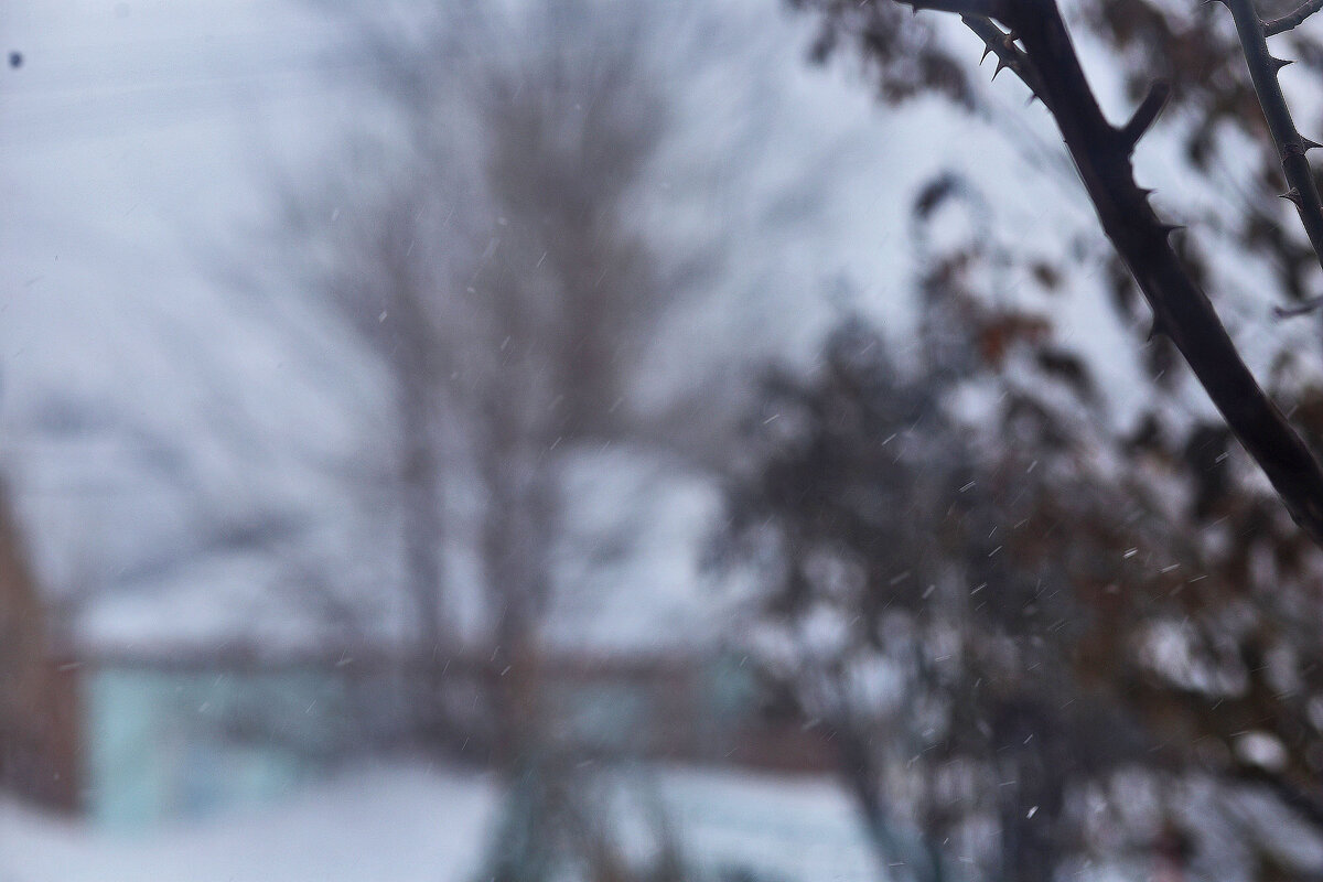 Снег пошёл - Юрий Гайворонскiий