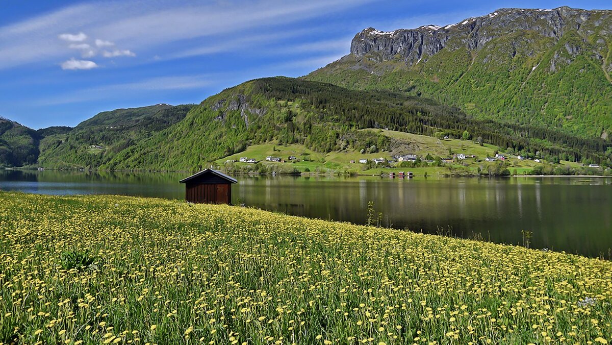 Ждём весну! - Alexandеr P