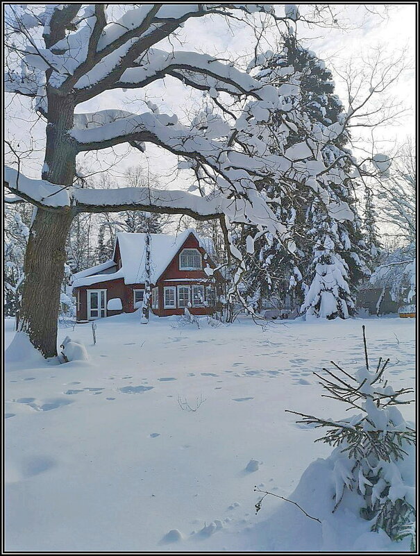 Дачный пейзаж - Ольга Довженко