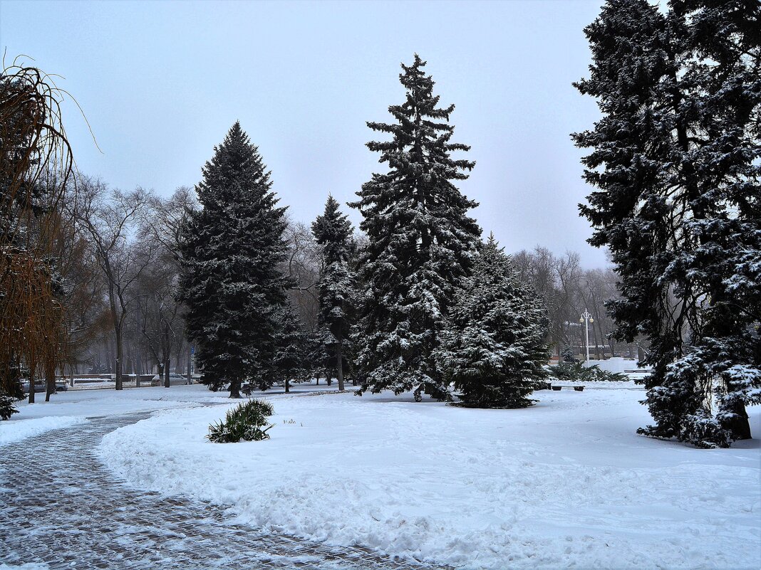 Ростов-на-Дону. Сквер Театральной площади зимой. - Пётр Чернега