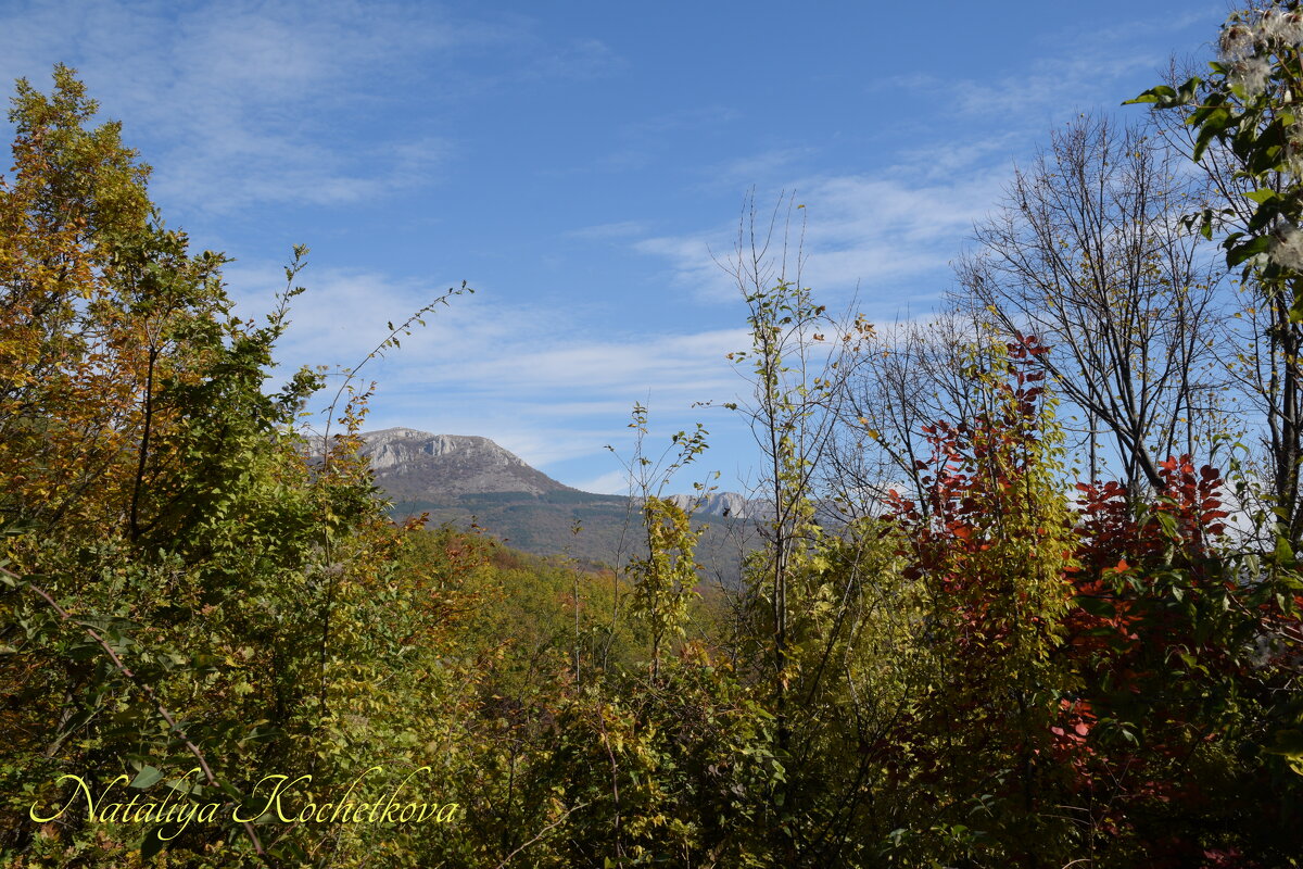 Природа Крыма - Amazing Cosmea