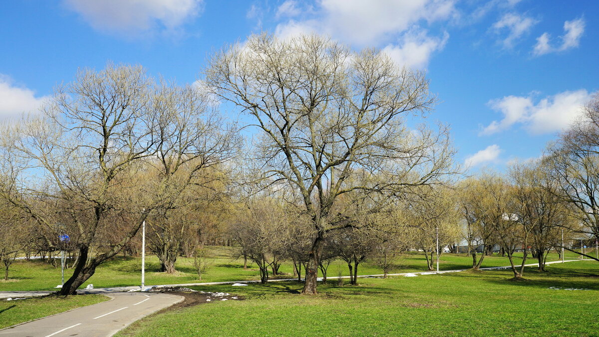 Весенняя ностальгия - Юрий Шувалов