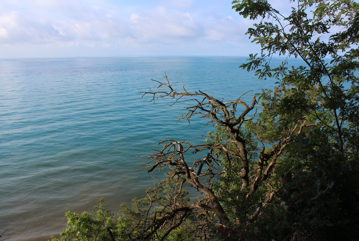 Море.. - Александр. AVG100 ---