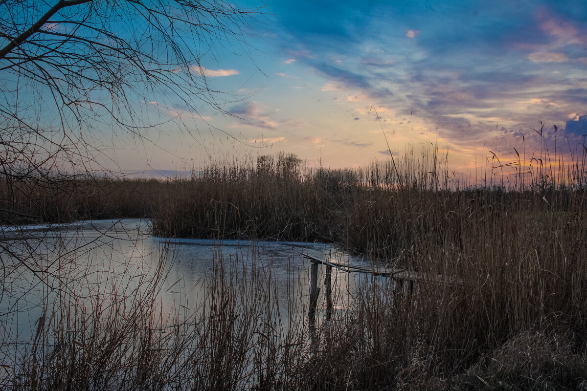 Вечер. - Александр. AVG100 ---
