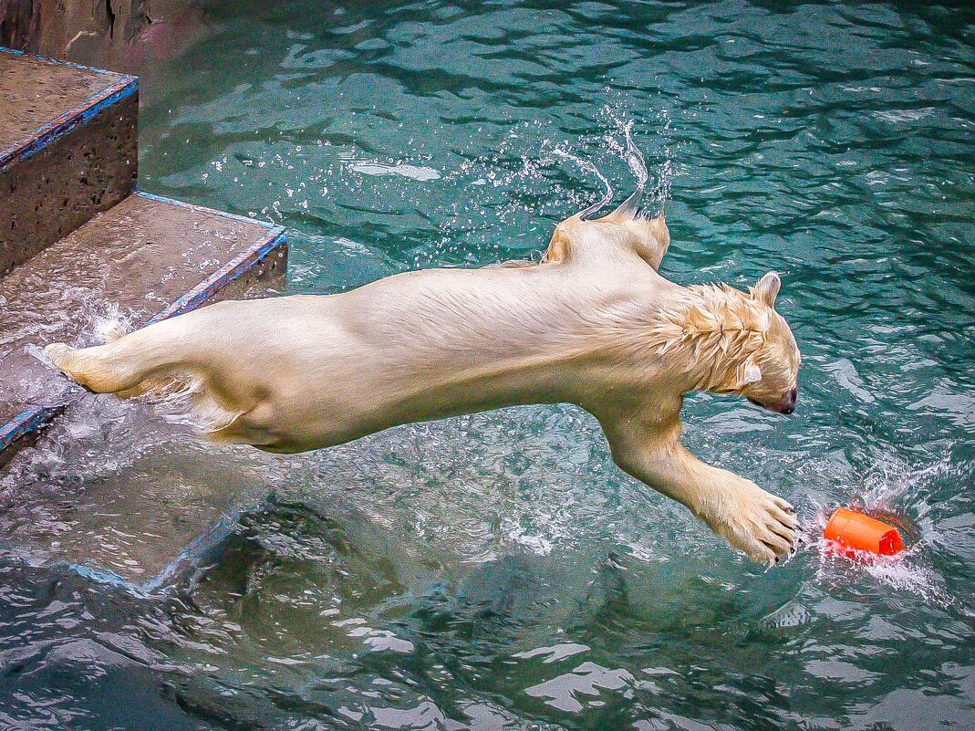 летаем - Аркадий Лаптенко