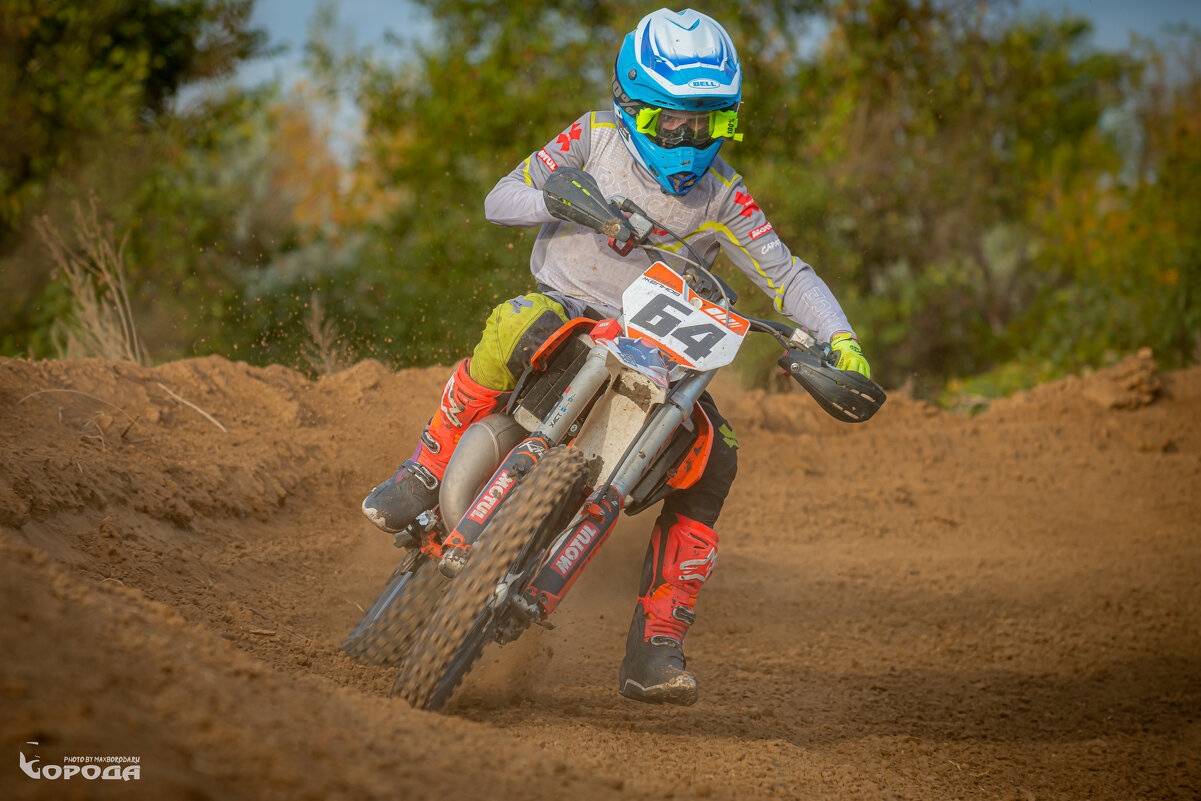 * - Макс Борода