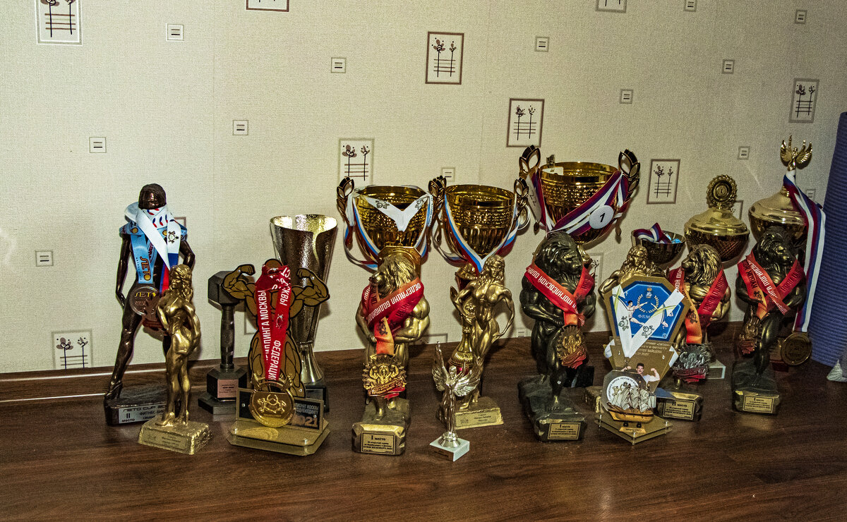 Награды. - Петр Беляков