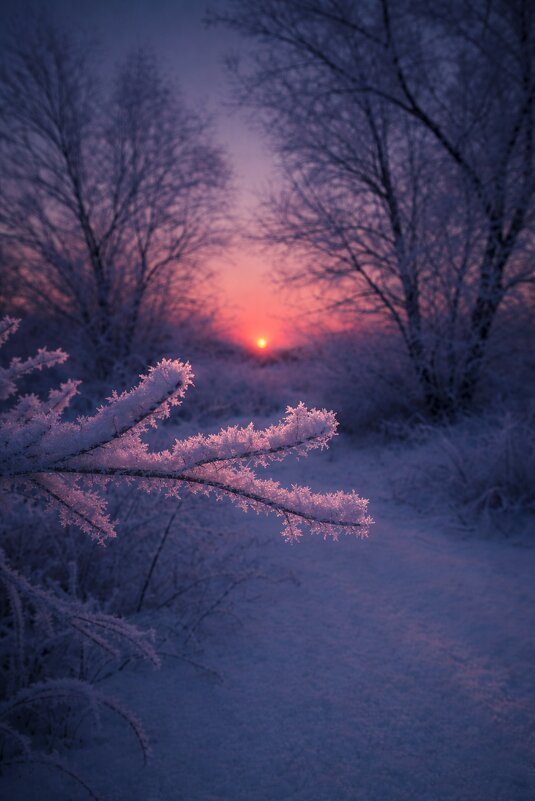 Мороз - Евгений Анисимов