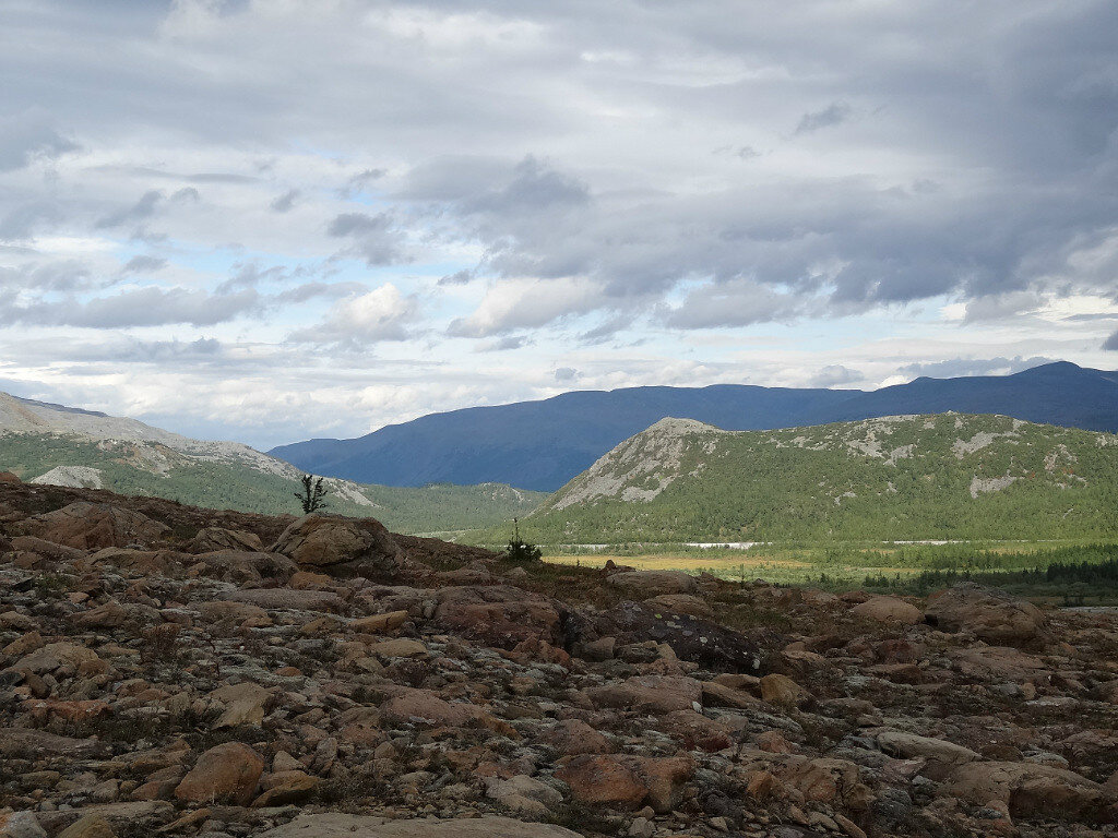 ПОЛЯРНЫЙ УРАЛ. ЛЕТО - Tata Wolf