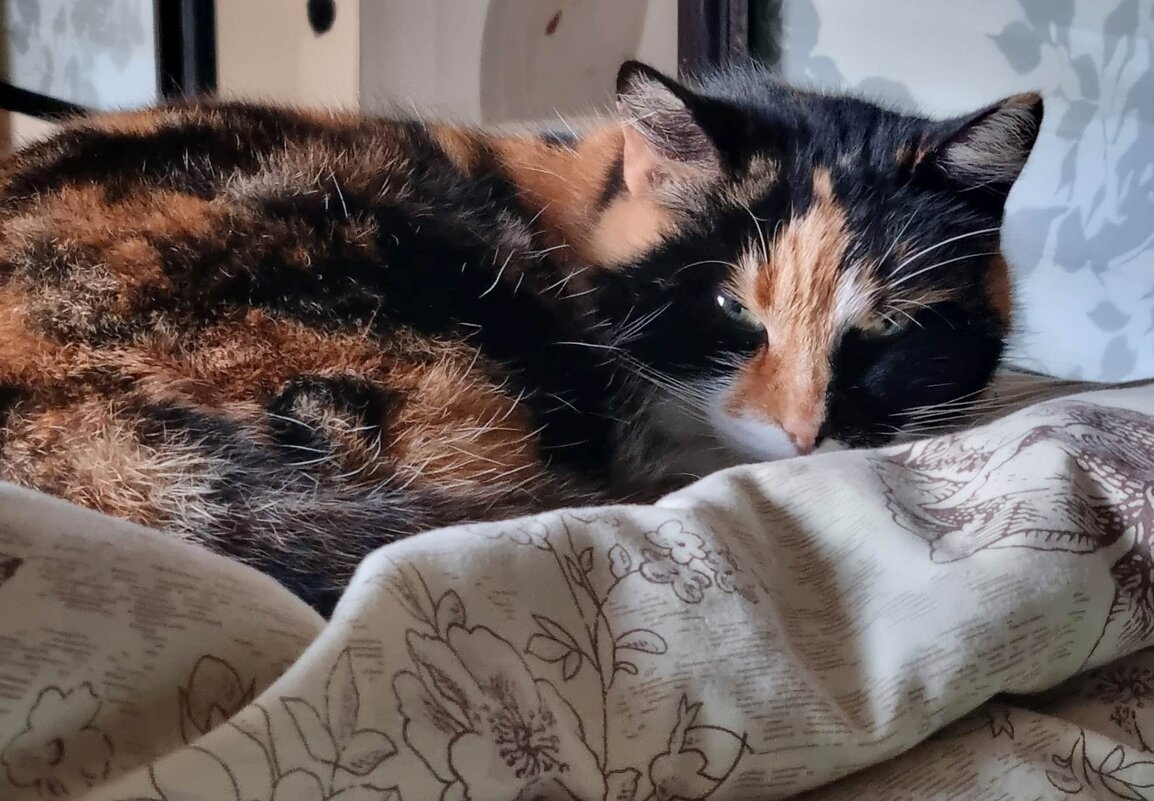 Когда на улице мороз... - Наталья 