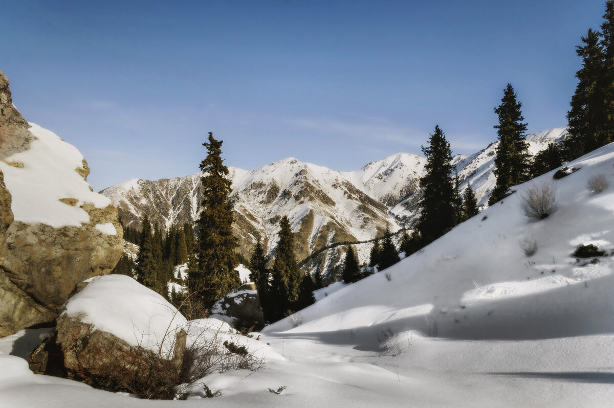 По первому снегу - LudMila 