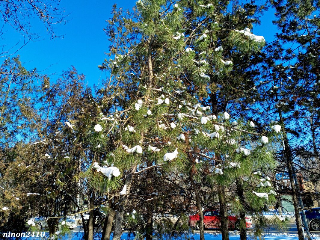Наша зима... - Нина Бутко