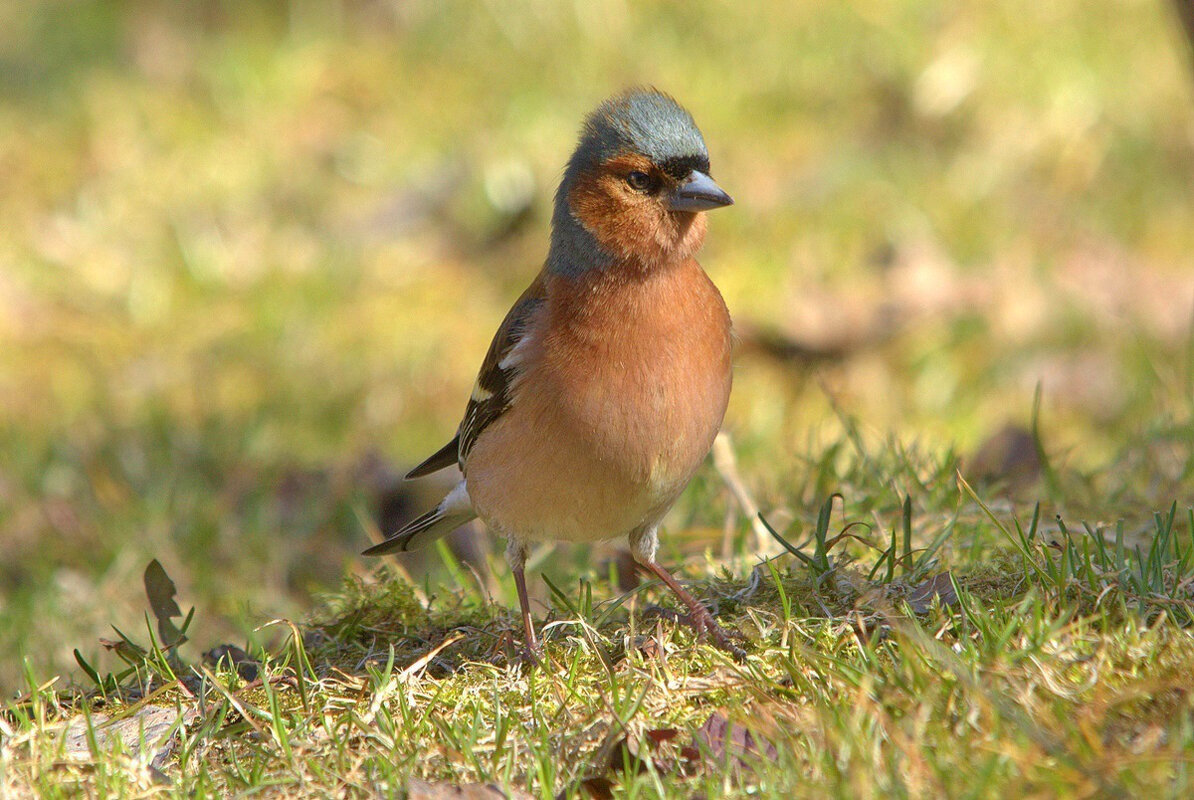 ... - Вячеслав Минаев