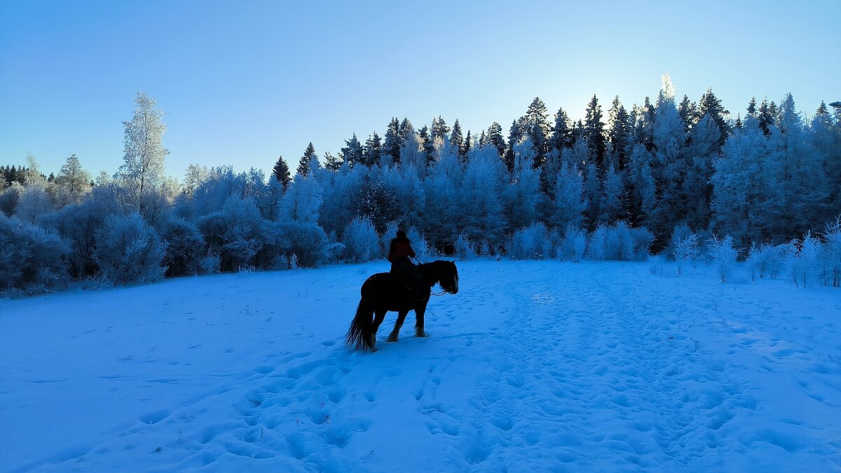 По заснеженным полям. - Ольга 