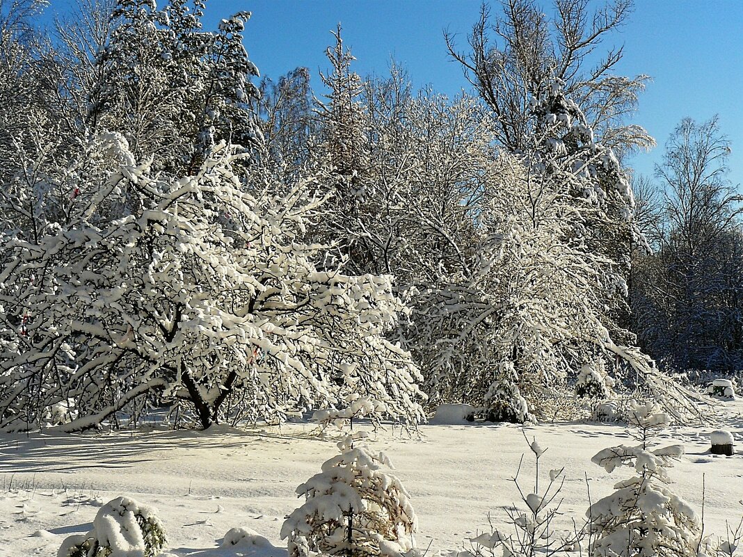 Почти  открытка...)))) - Александр Герасенков