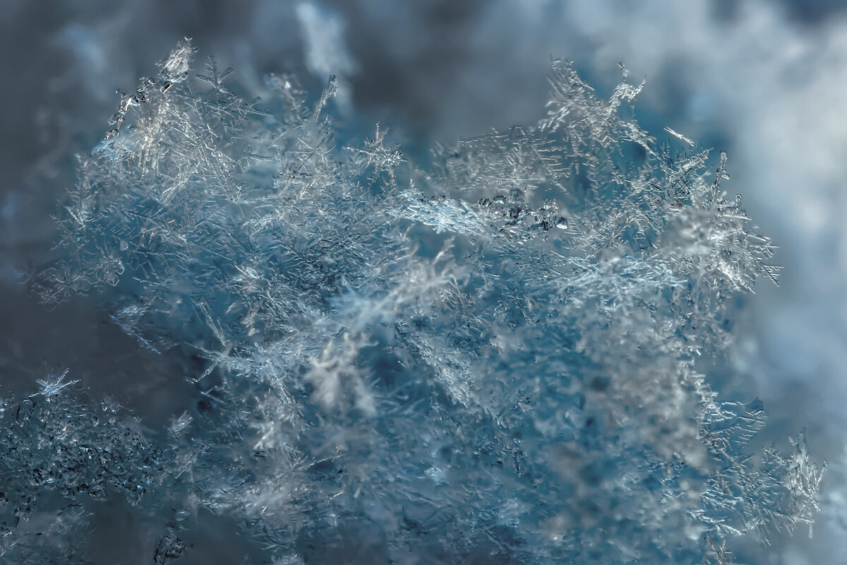 Снежинки - Владимир Колесников