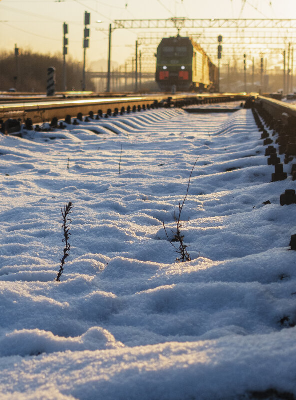 *** - Александр Русинов