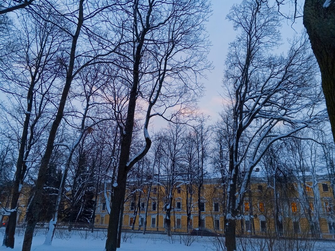 Рассвет - Сапсан 