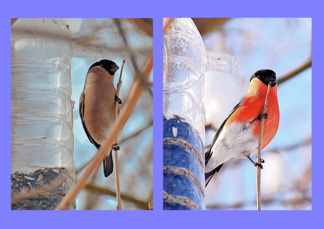 Пост сдан. Пост принят. - Татьяна Помогалова