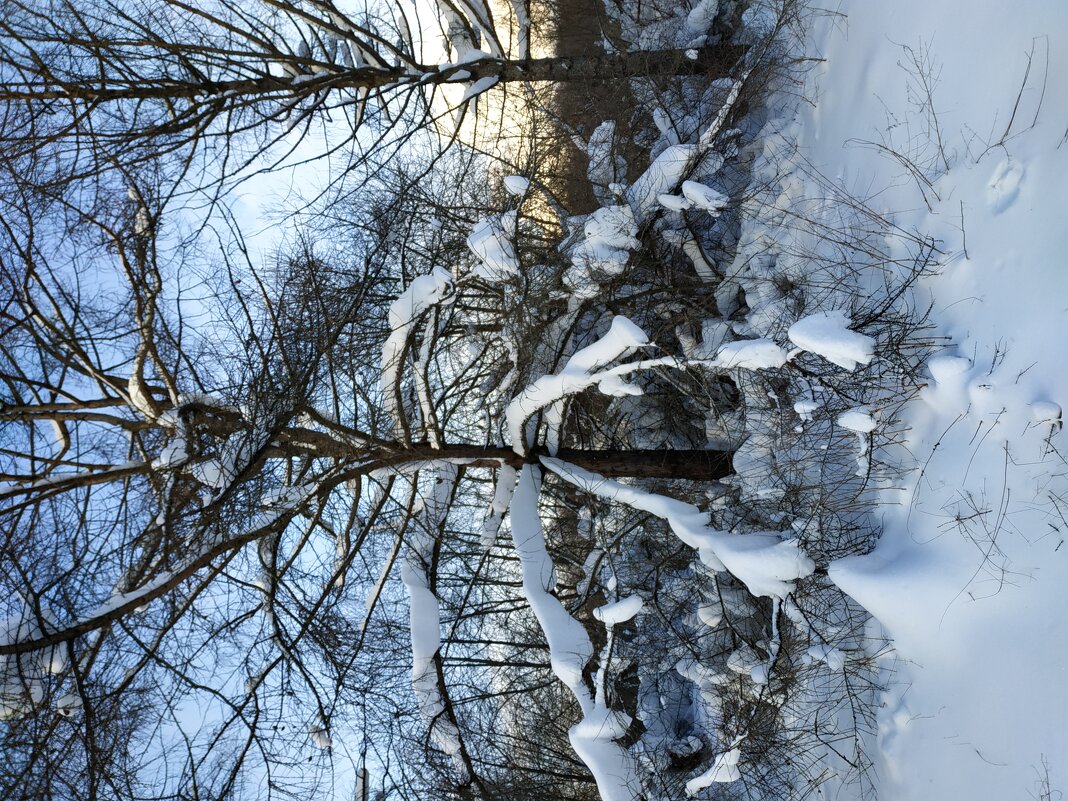 Зима в Москве - Андрей Лукьянов