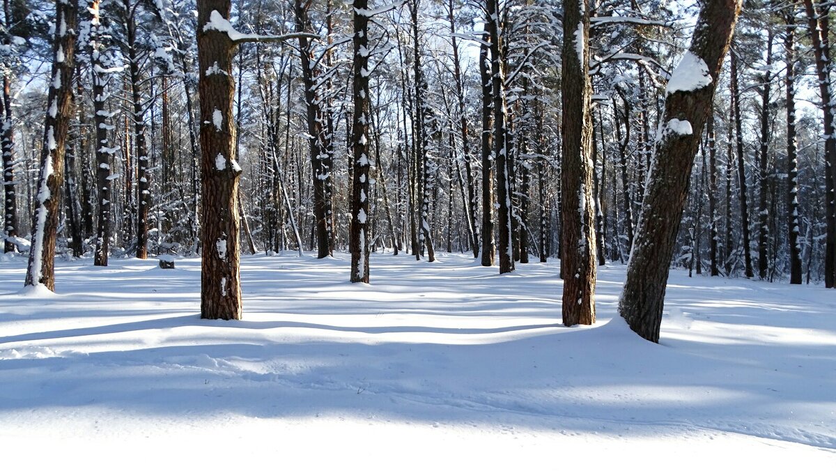 Гнёздовский археологический комплекс. - Милешкин Владимир Алексеевич 
