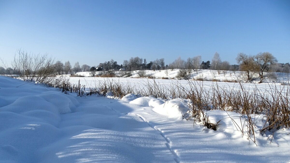 Следы неведомых зверей. - Милешкин Владимир Алексеевич 