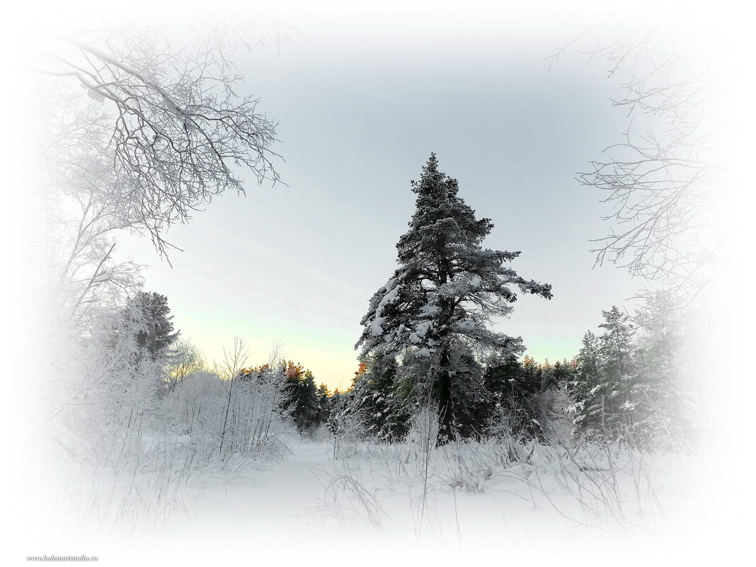 Щел я лесом за каким--то интересом... - Игорь Корф